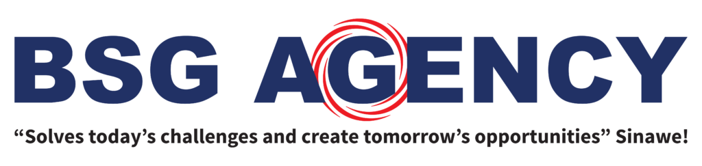 BSG Agency Logo